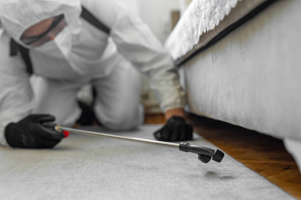 Professional Termite Control technician working in Raymond, WI