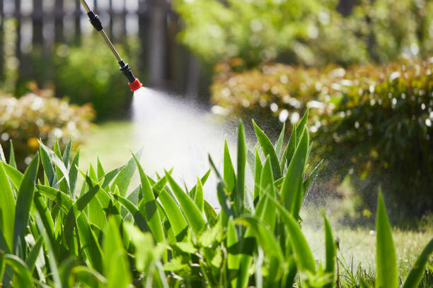 24/7 Emergency Termite Control experts in Raymond, WI